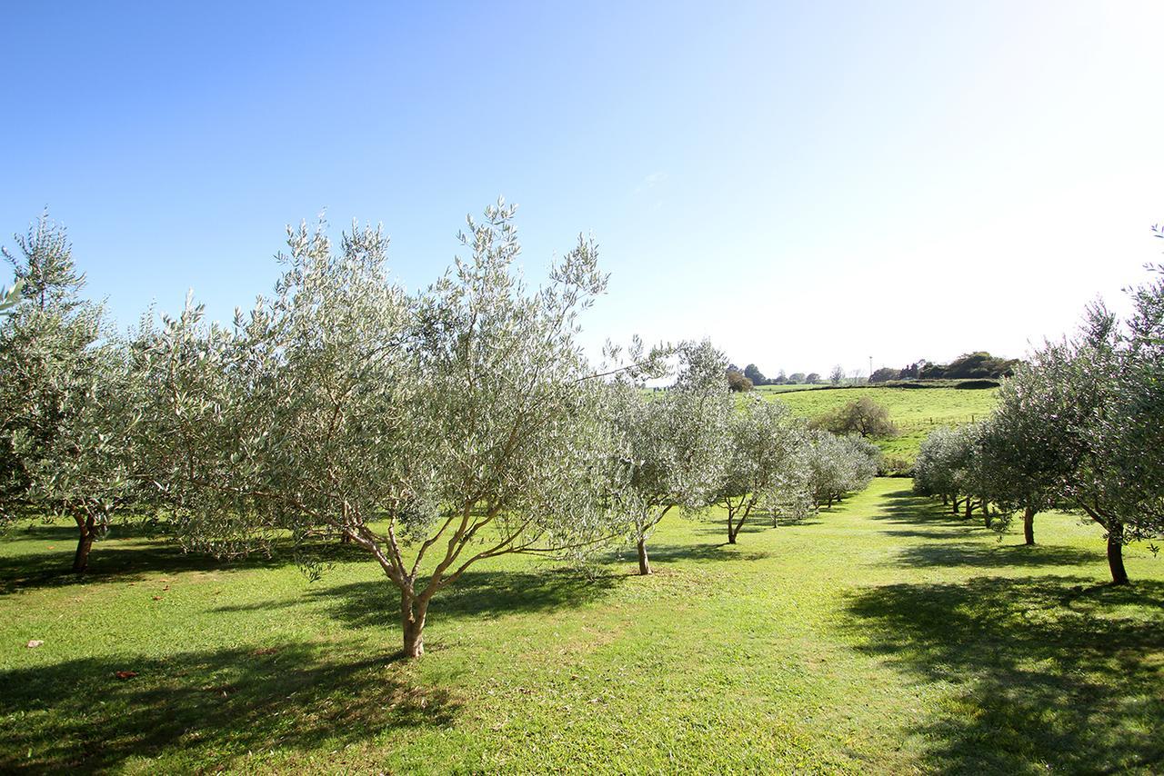 Ohaupo Olives Exterior photo