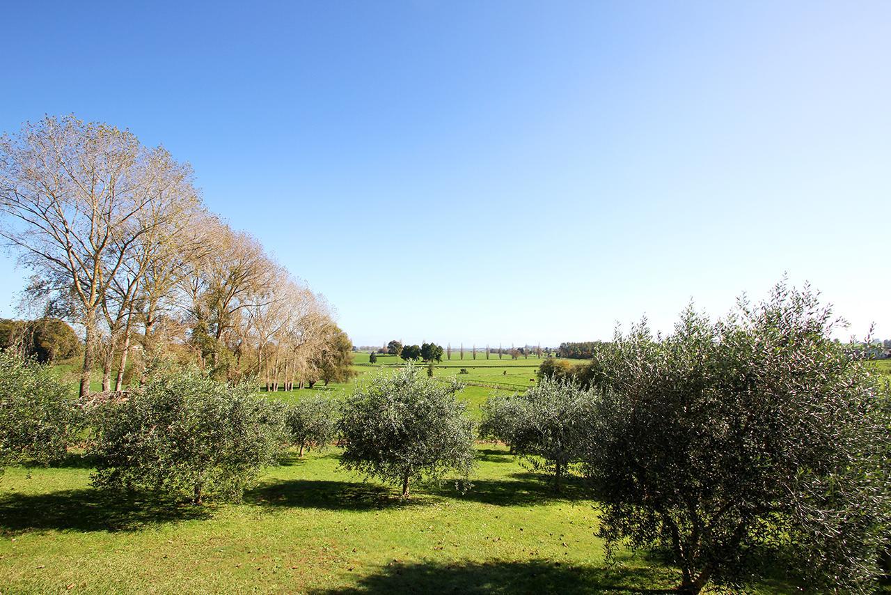Ohaupo Olives Exterior photo